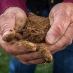 Oklahoma Conservation Commission Soil Scientist